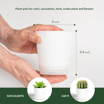 4 Inch 10 Pack Small Self Watering Pots for Indoor Plants, Nursery Pot with Drainage Holes and Saucers, Plastic Small Flower Planter for Succulent, Aloe, Cacti and More (White)