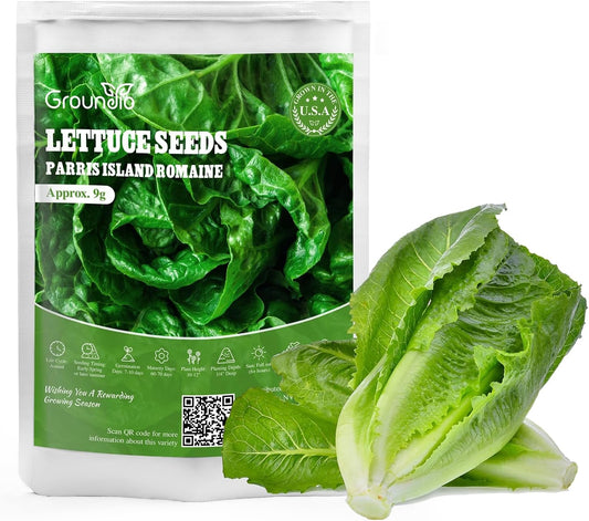 Romaine Lettuce Seeds, High Germination Non-GMO USA Grown Premium Vegetable Seeds for Planting, 9 Grams Seeds Great for Indoor Outdoor Garden