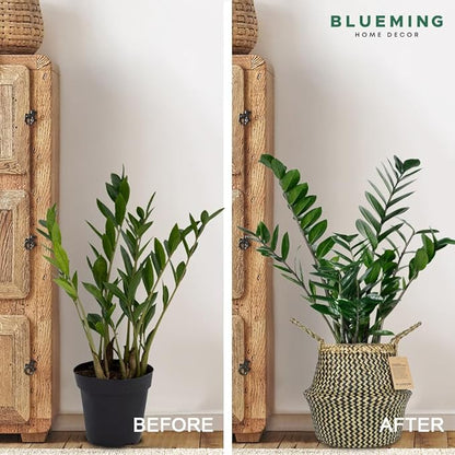 Plant Baskets – Large Seagrass Pot for Tall Indoor Faux Olive Tree, Woven Wicker Rattan Planter for Boho Basket 9-10 Inch (Black, Large)