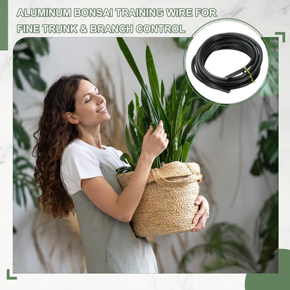 Bonsai Training Wire, 6mm x 9.8 ft Anodized Aluminum Floral Plant Training Wire Bendable Metal Stems Accessories for Gardening Branch Fixing Crafts (Black)