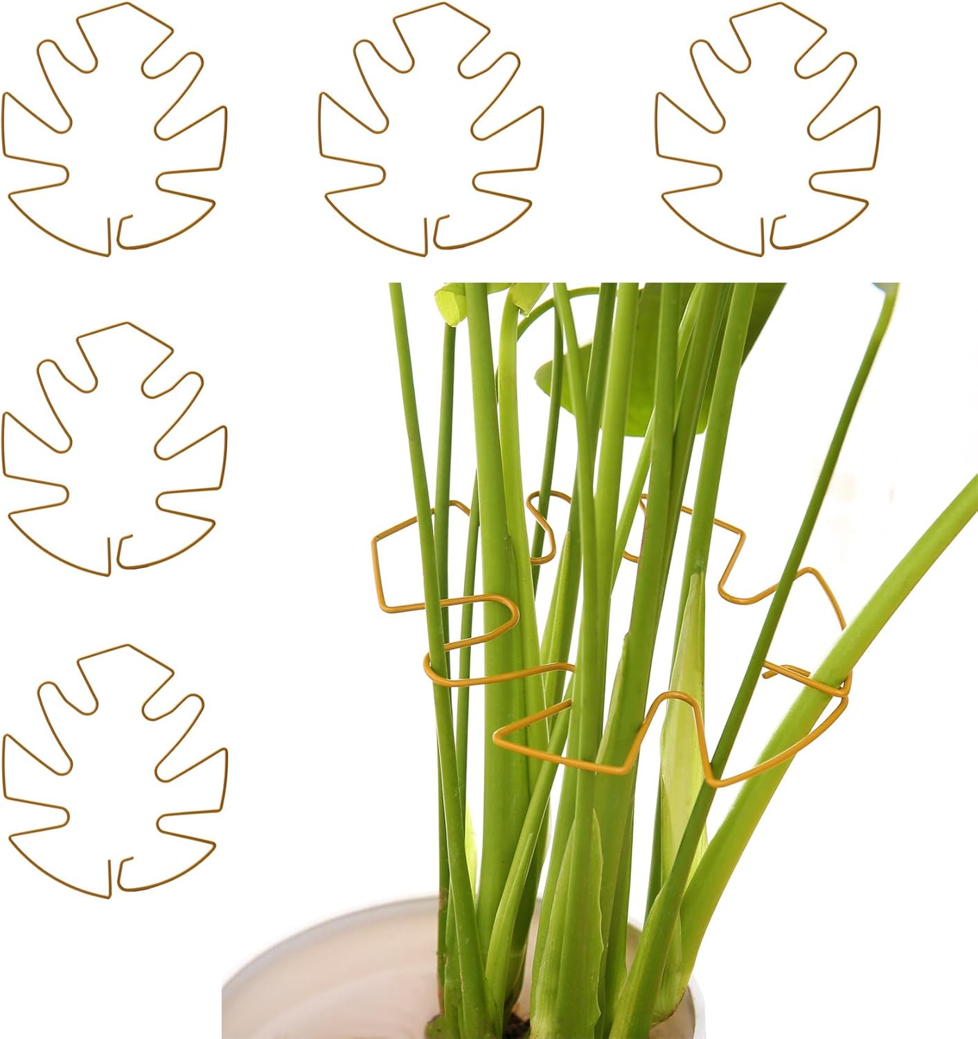 Spiritlele 5 Pcs Yellow Plant Stem Support Holder Set Monstera Plant Support Clamp Growth Accessories for Indoor Plants Big