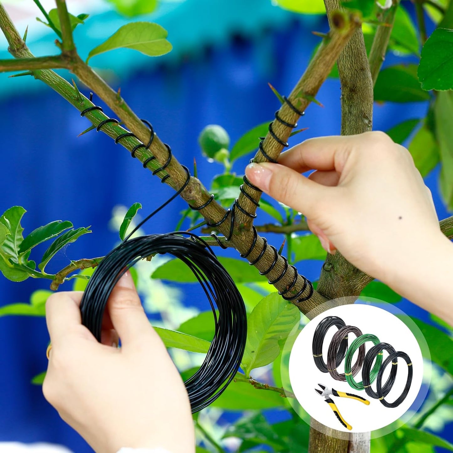 5 Roll Bonsai Wires, Anodized Aluminum Bonsai Training Wire with Wire Cutter, 3 Colors and 3 Sizes (1mm, 1.5mm, 2mm), Total 160 Feet, Aluminum Wires for Indoor Garden Small Trunks DIY Tools