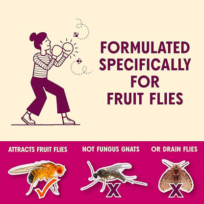 Aunt Fannie's FlyPunch Fruit Fly Trap for Indoor and Kitchen Use, Ready to Use, Made with Plant Based Ingredients, Safe Near Food, Each Bottle Lasts Up to 30 Days, Pack of 3