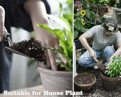 Houseplant Potting Mix 2qt, Fertilized, Perlite Soil for All Types of Indoor House Plants and Tropical Plant