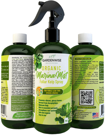 Organic Marina Mist Foliar Spray for Fiddle Leaf Fig and Other Ficus Trees | Micro Nutrients for Vital Health | Gentle Formula | Liquid Plant Food | Quick Results | Ready to Use (16 OZ)