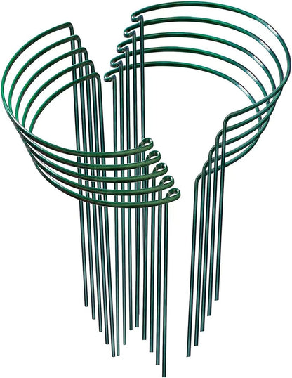 Plant Support Stakes,10Pack Metal Garden Plant Stake,Green Plant Support Ring Cage for Tomato,Rose,Flowers (10)