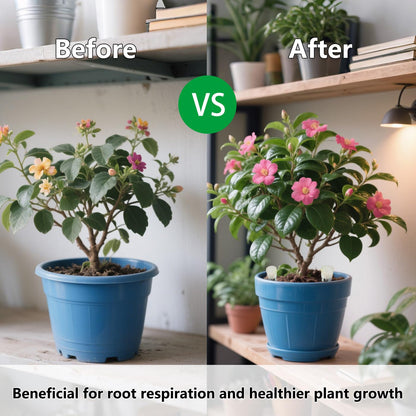 Belit 16 Pcs Plant Root Ventilation Stakes, Breathable Stake Beneficial for Root Respiration, Potted Plants Prevent Root Rot