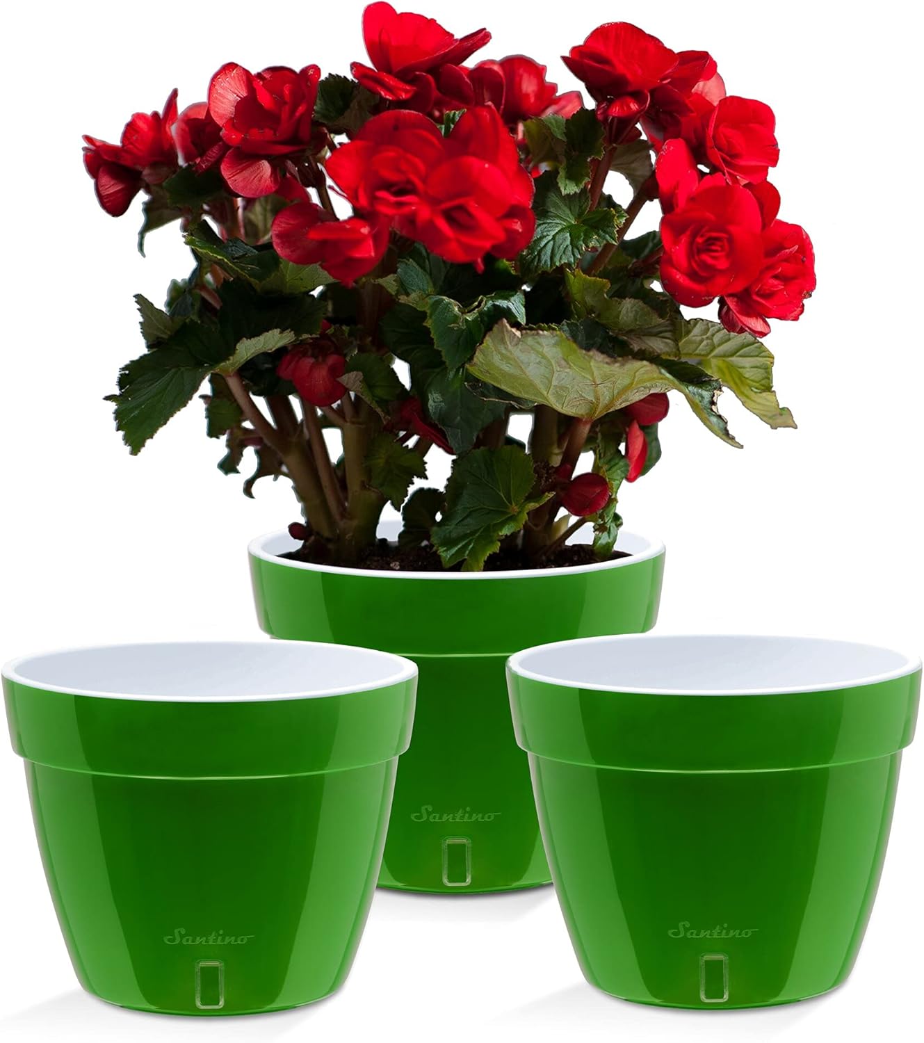 Santino AST 7.9 Inch Self Watering Planter Green-Gold/White Set of 3 for Indoor Plants - Premium Quality Plastic Pot with Water Level Indicator for All House Herbs, African Violets and Dahlias