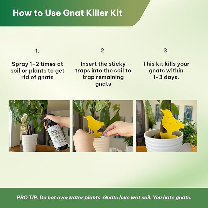 Kate's Home & Garden Plant Spray for Insects & Getting Rid of Gnats with 12 Sticky Traps. Fungus Gnat Killer & Bug Spray for Indoor Plants (16oz, Cedarwood, Pet Safe, Non Toxic)