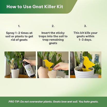 Kate's Home & Garden Plant Spray for Insects & Getting Rid of Gnats with 12 Sticky Traps. Fungus Gnat Killer & Bug Spray for Indoor Plants (16oz, Cedarwood, Pet Safe, Non Toxic)