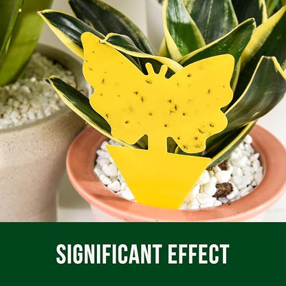 Garsum 36 Pack Fungus Gnat Traps Sticky Fruit Fly Trap Killer for Kitchen Indoor and Outdoor, Insect Fly Traps for House Plants, Whitefly, Mosquito Bits, Flying Insects