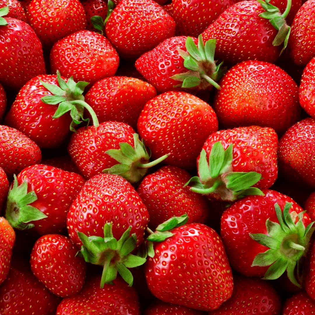 Albion Everbearing Strawberry Plants - Fruit Very Firm, Sweet, High Yields (20 Plants) Can Not Ship to California.