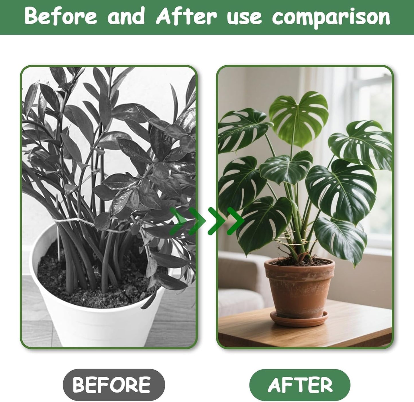 5PCS Iron Monstera Plant Support, Plant Stem Support, Turtle Shell Bamboo Clamp Set, Stable Plant Support Stakes for Indoor Plant, Ideal Present for Plant Lovers