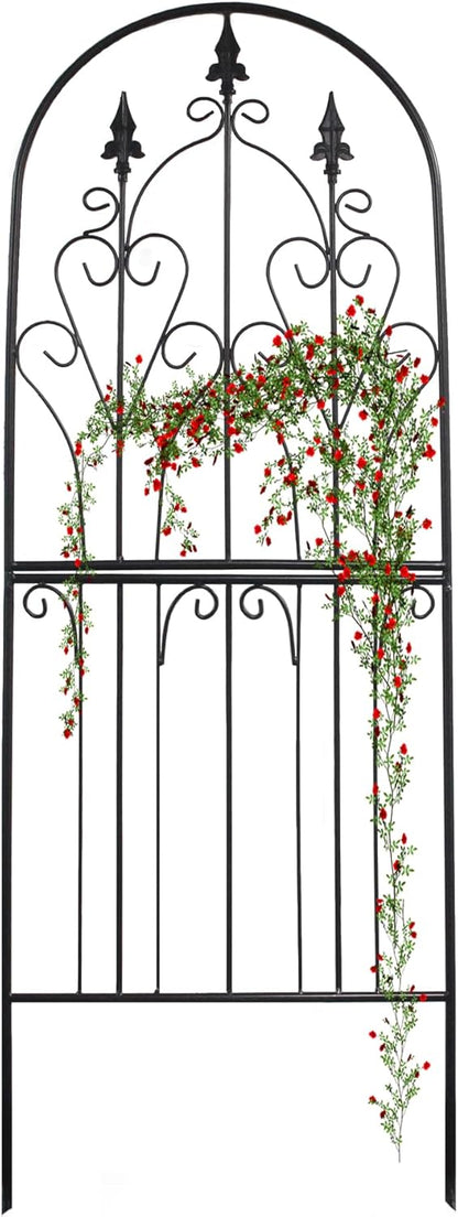 Trellis 70.9" H x 25.6" W Metal Premium Quality Material Rust-Resistant Climbing Frame for Vines Flowers Elegant Garden Roses Vine Ivy Clematis Trellises Black