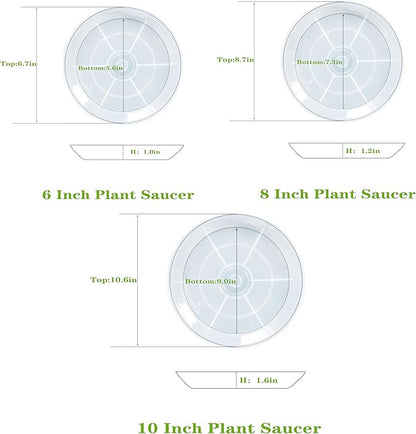 Plant Saucer, Plant Saucers, Plant-Saucers
