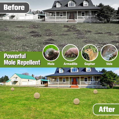 Mole Repellent for Lawns, Gopher Repellent Outdoor, Moles Control, Vole Repellant Groundhog Repellant for Your Lawn and Garden (1.5 Ounce (Pack of 8))