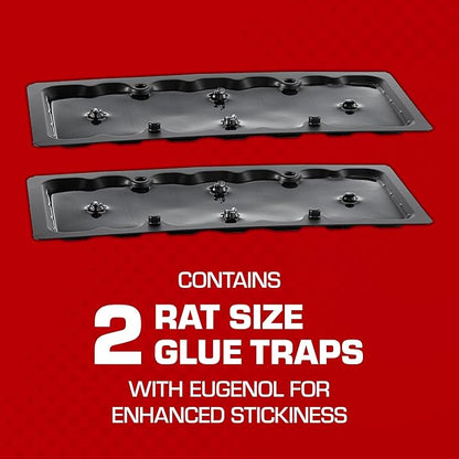 Tomcat Glue Traps Rat Size with Eugenol for Enhanced Stickiness, 2 Traps/Pack (12-Pack)