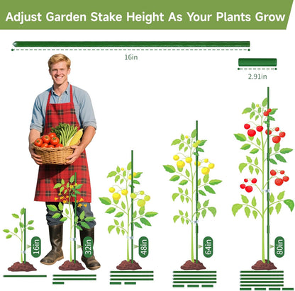 70pcs Garden Stakes Set, 16 Inches Plastic Coated Metal Plant Sticks Stakes Supports, DIY 4ft 5ft 6ft 7ft 8ft Tomato Stakes for Growing Climbing Tomato Vegetables Flowers Pepper, Versatile Ues