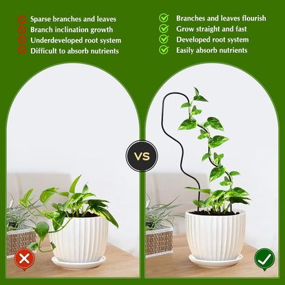 13.4 Inch Indoor Plant Trellis for Climbing Plants,Metal Trellis,Small Garden Trellis for Potted Plants,Plant Stakes for Indoor Plants Accessories Hoya,Flower,Plant Support (Black)