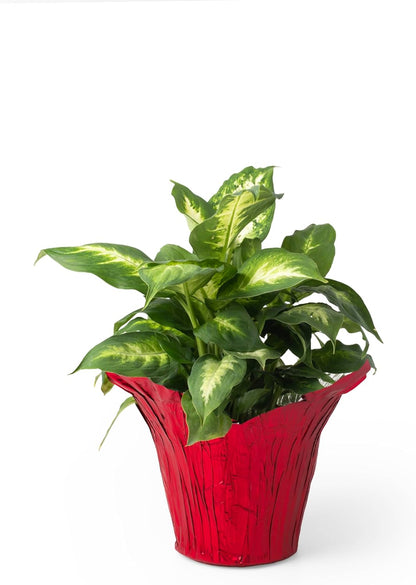 6” AZA Plant Pot Covers, Decorative Plant Sleeve for Indoor & Outdoor House Plants, Reusable and Gift-Ready Foil Wrap for Flower Pots, Red Metallic, Pack of 5