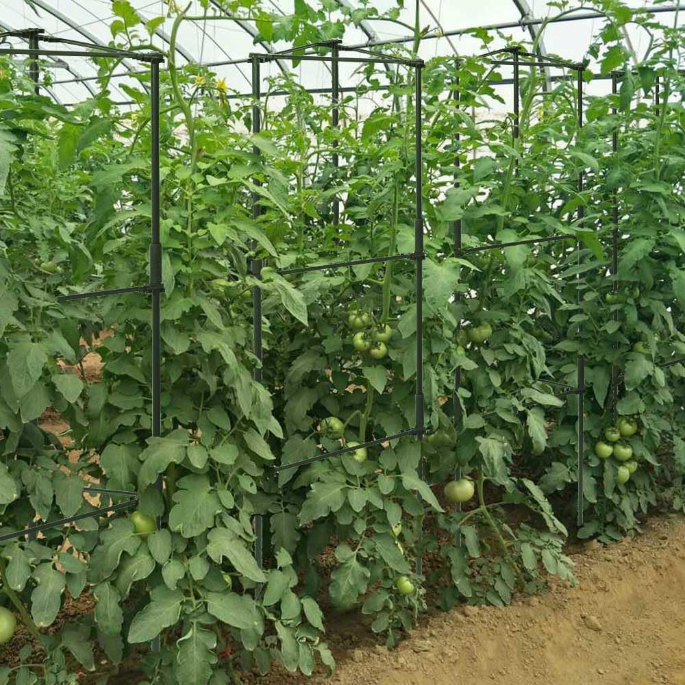6 Package up to 48in Tomato cage Garden Grid Plant Support Posts with Adjustable Tomato cage Vegetable Grid (6pack)