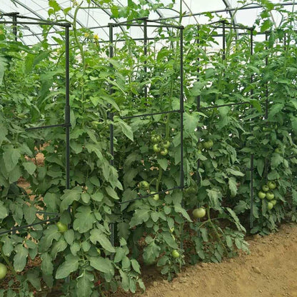 6 Package up to 48in Tomato cage Garden Grid Plant Support Posts with Adjustable Tomato cage Vegetable Grid (6pack)