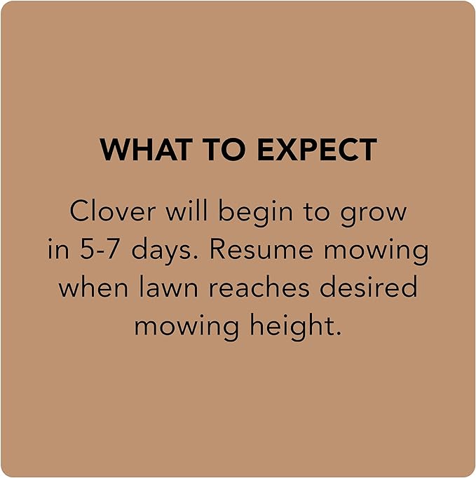 Scotts Turf Builder Clover Lawn, Greener Lawn with Less Maintenance, 2 lbs.