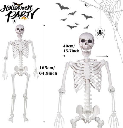 Halloween Skeleton, Realistic Life Size Skeleton with Movable Joints for Halloween Party Haunted House Indoor Outdoor Decoration (5.4ft-1P)