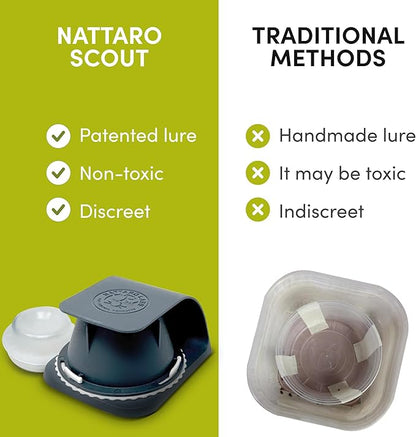 Scout Bed Bug Detection Trap – Non-Toxic Early Monitoring Solution with Patented Pheromone Technology, Includes 4 Bed Bug Detection Traps, Replaceable Lures and User Guide