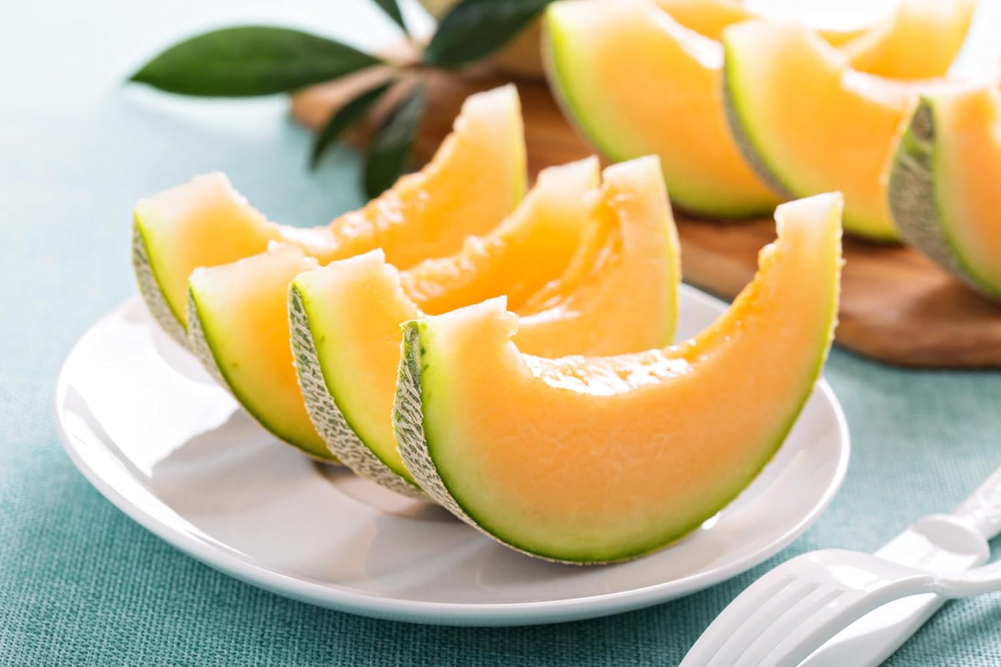 Melon Seeds Variety Pack for Planting – 4 Non-GMO Heirloom Varieties: Crimson Sweet & Sugar Baby Watermelon, Honeydew, Hale's Best Jumbo Cantaloupe – High Germination, USA-Grown Garden Fruit Seeds