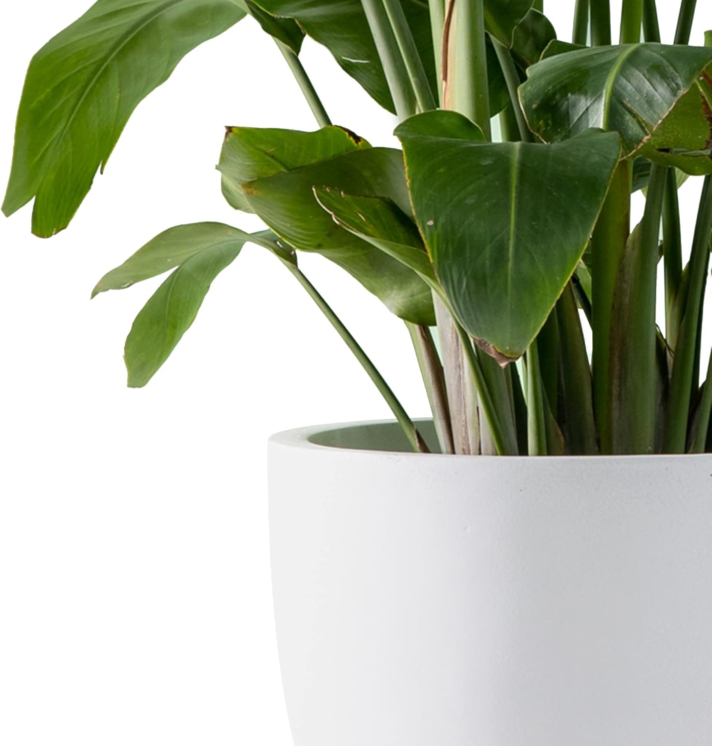 Kante 20",16.5",13.4" Dia Round Concrete Planters (Set of 3), Outdoor Indoor Modern Decorative Plant Pots with Drainage Hole & Rubber Plug for Home & Garden, Pure White
