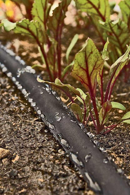 Rocky Mountain Goods 25 Foot Flat Weeper Soaker Hose - Drip Irrigation - Double Layer Design - Saves 70% Water - Consistent Drip Entire Length of Hose - Includes 3 Pressure Reducing Discs