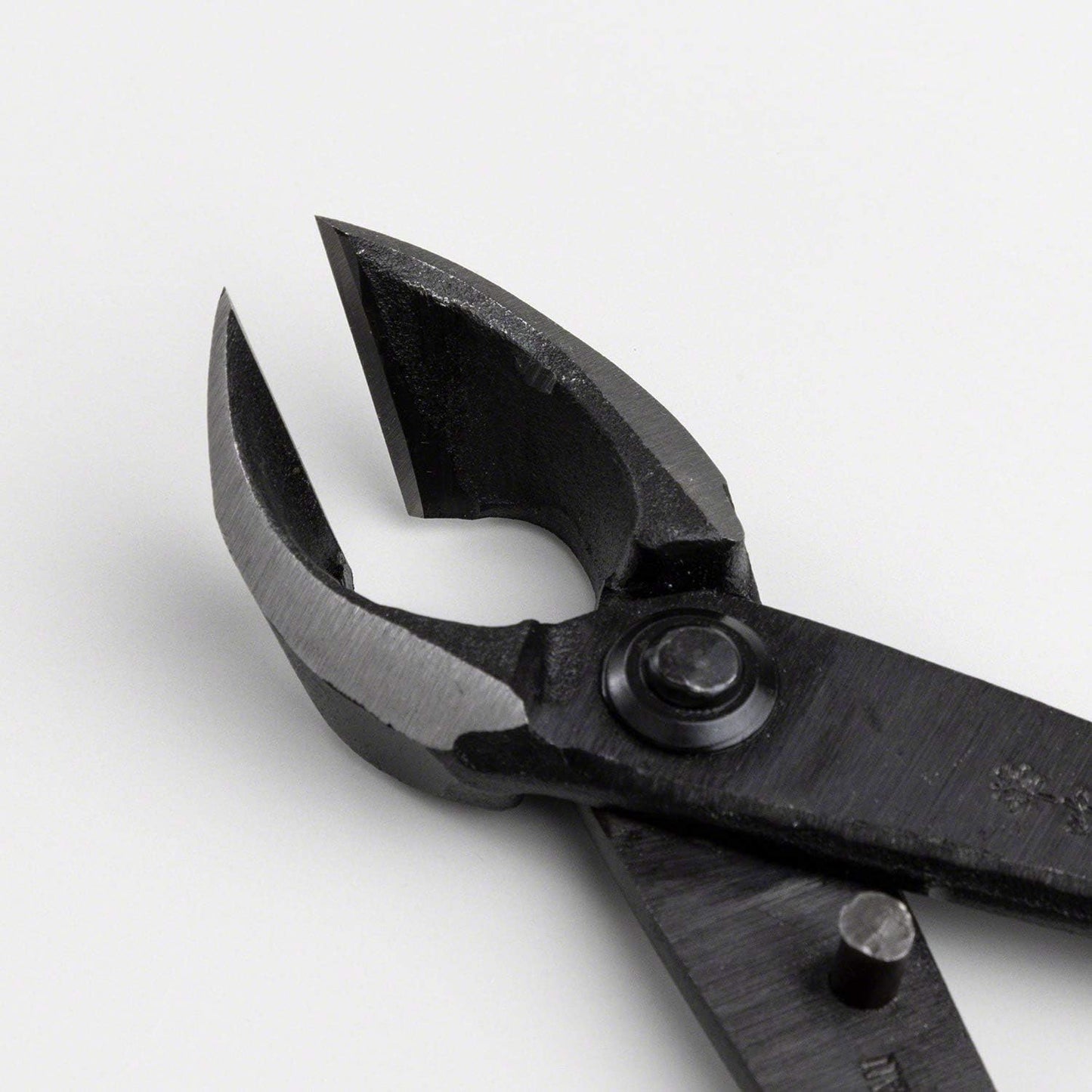 Wazakura Hand Forged Bonsai Concave Branch Cutter, Made in Japan 8 inch (200mm), Japanese Gardening Tools, Straight Edge Black