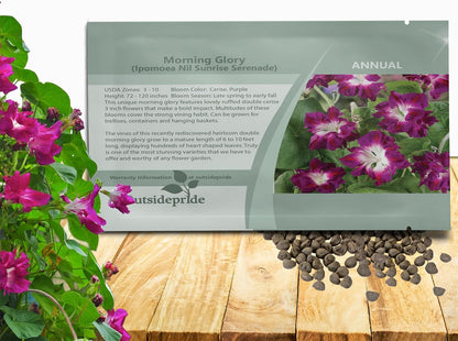 Outsidepride Sunrise Serenade Morning Glory Seeds - 50 Pcs. Annual, Climbing & Vining Flower Seeds for Planting Cerise & Purple Blooms, Ideal for Gardens, Trellises & Vertical Landscapes