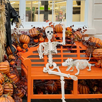 YUJUN 36'' Halloween Skeleton Decoration with Dog Skeleton, 3ft Full Body Posable Skeleton Realistic Plastic Bones Movable Joints for Halloween Party Yard Haunted House Props Indoor Outdoor Decor
