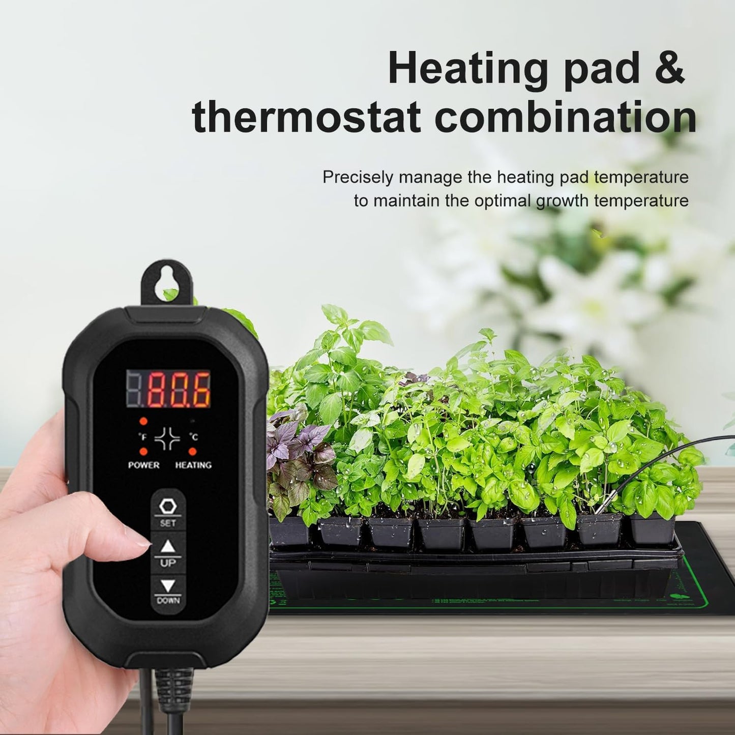 Digital Thermostat Controller 40-108℉ 8.3A 1000W,Thermostat Controller for Seed Germination, Reptiles and Brewing Breeding Incubation Greenhouse (Thermostat)