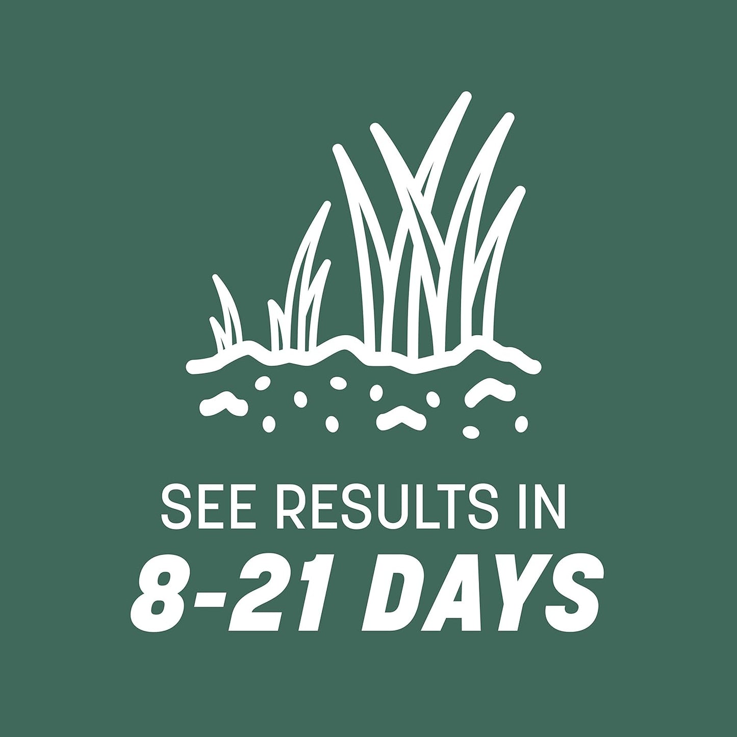 Pennington Kentucky 31 Tall Fescue Penkoted Grass Seed 7 lb