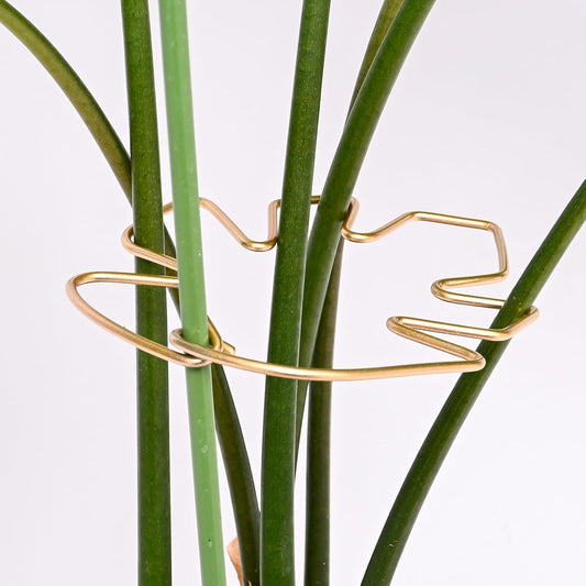 5.5 * 4.7IN Monstera Stem Support Stake with Clips - 5Pcs Durable Climbing Plant Support for