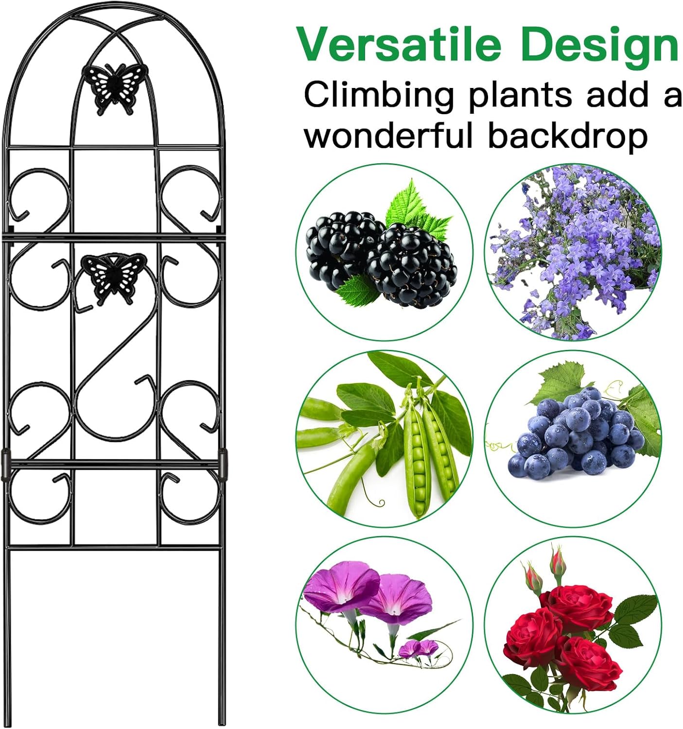 Amagabeli 2 Pack 60" x 18" Rustic Iron Garden Trellis for Climbing Plants Outdoor Trellis with Black Metal Coating Climbing Roses Ivy Vines Flowers Vegetables Cucumbers Trellis