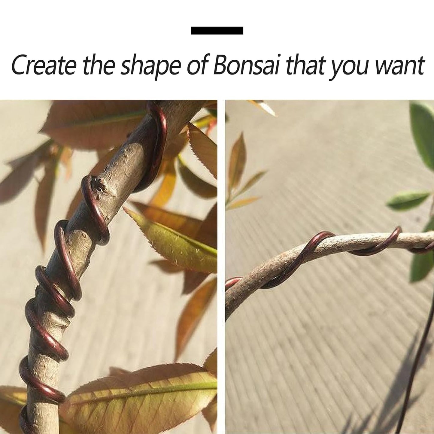 2 Rolls 2mm Bonsai Training Wire, Aluminum Training Wire for Holding Bonsai Branches Small Trunks, Brown