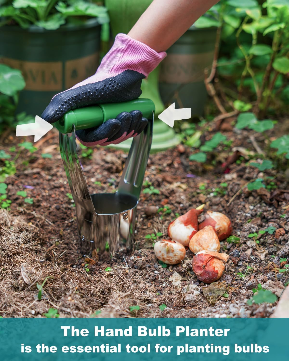 Bulb Planter Tool with Release Button&4Inch Measurements Tulip Planting Tool Bulb Transplanter Bulb Digger for Removing Soil and Planting Bulbs or Other Small Plants in Pots and Flowerbeds