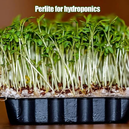 Horticultural Perlite for Plants 1qt, Natural Horticultural Soil Additive Conditioner Mix to Improve Soil Aeration & Dranage for Houseplant