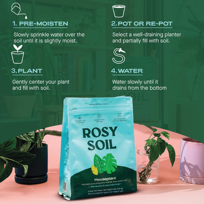 Rosy Soil Indoor Potting Soil for House Plants, 2 x 8 qrt - Organic Potting Soil Mix for Indoor Plants -Enriched w/Root-Boosting Biochar for Foliage Plants, Flowers, Herbs - Pack of 2