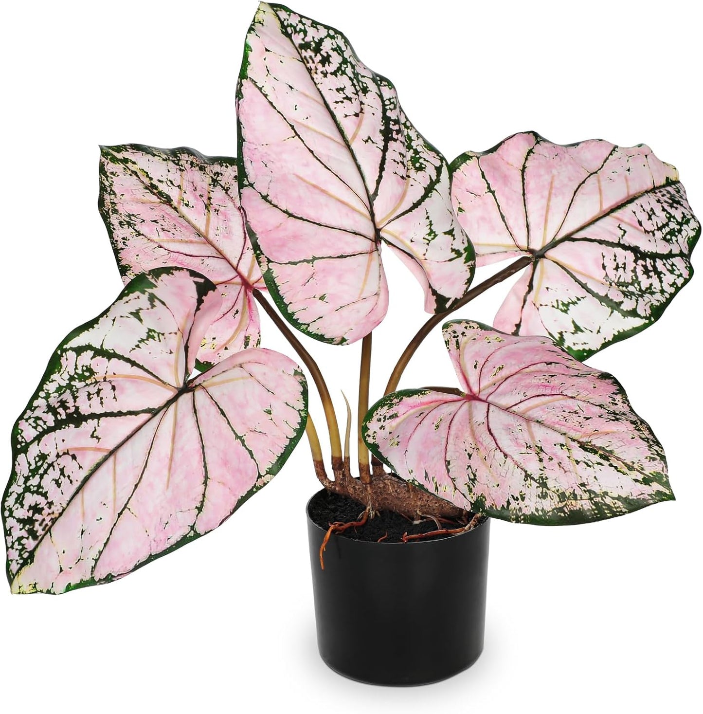 Briful 22'' Tall Fake Plants Artificial Caladium Plants in Black Pot Realistic Potted Faux Plant Indoor for Home Decor Wedding Farmhouse Centerpiece, Wide Pink-Black Leaf
