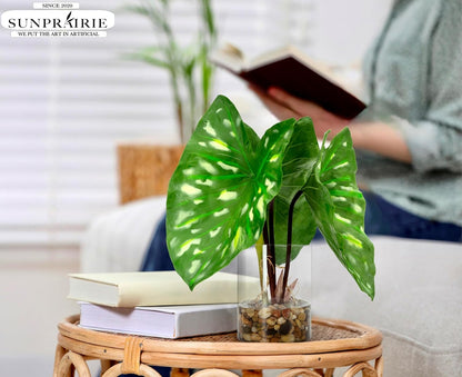 SUNPRAIRIE Tropical Artificial Plant in Clear Pot with Artificial Water, Wide Arrowhead Leaves. Faux Plants Indoor and Outdoor