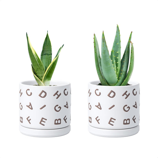 D'vine Dev Set of 2 Ceramic Planter Pots with Drainage Hole and Saucer, 4.5 Inch Plant Pots for Plants Indoor Houseplants, White, 99-Z-G-1-V