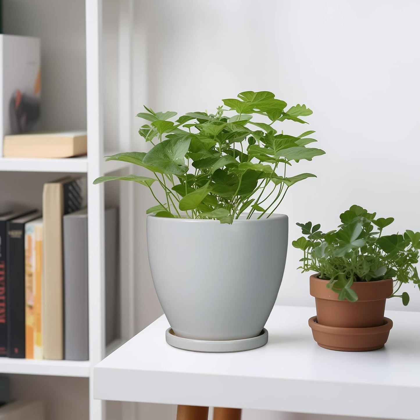 6.8 Inch Planter - Ceraimc Pots for Indoor Outdoor Plants Round Planters Modern Flower Pot with Drainage and Tray Home Garden Decor Gray
