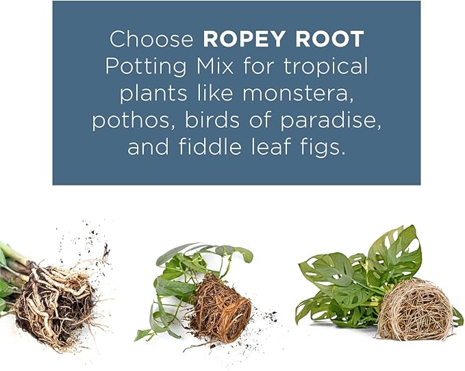 Delicate Root Organic Potting Mix & Soil Outdoor Fertilizer for Houseplants - Organic Mix of Coconut Chips, Coir, Horticultural Charcoal - 1 Gallon