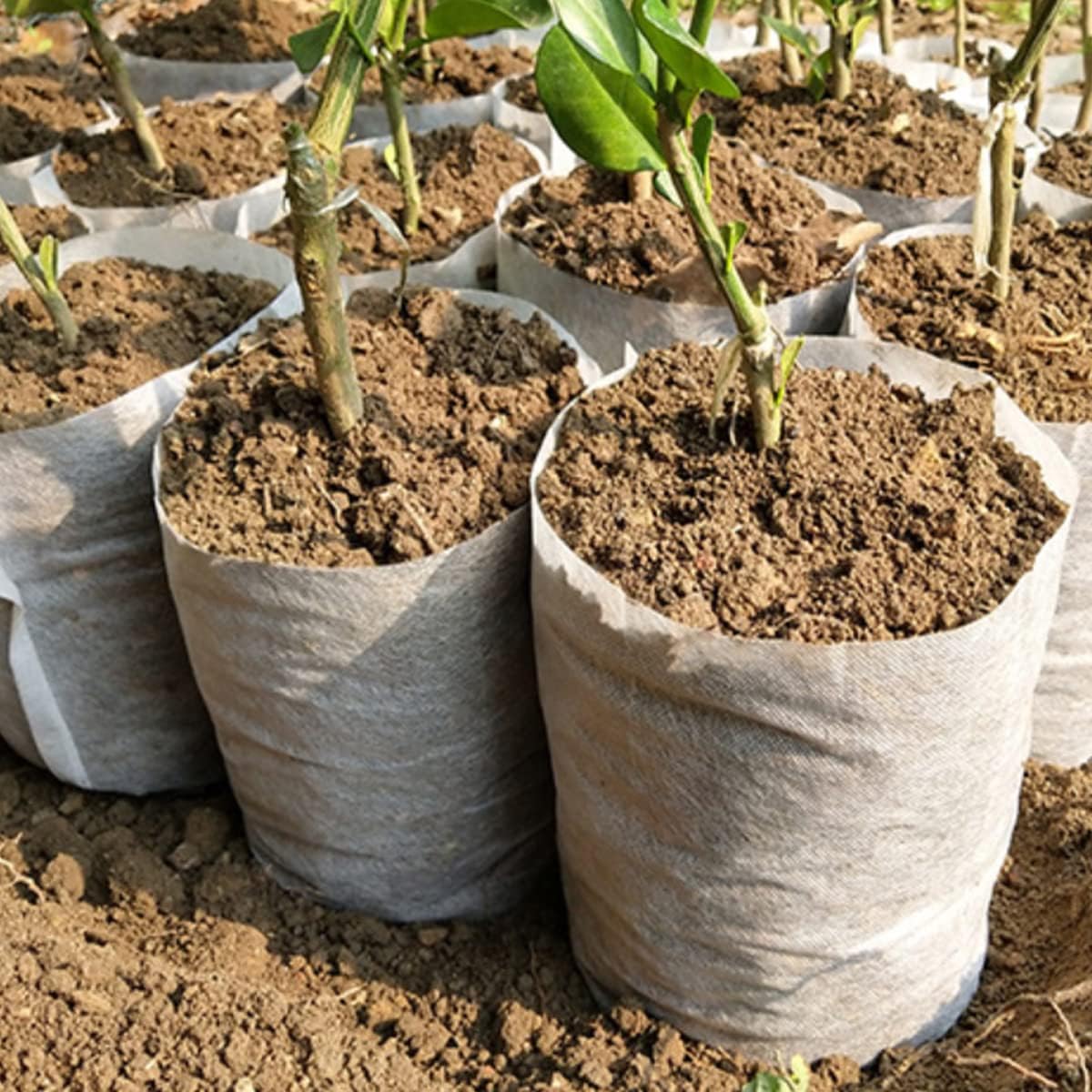 gardtree Plant Nursery Bags 5.5 * 6.3 inches 200PCS, Non-Woven Biodegradable Plant Grow Bags Fabric Seedling Starter Bags for Vegetable Flower Fruit Saplings Tree, Home Garden Supply