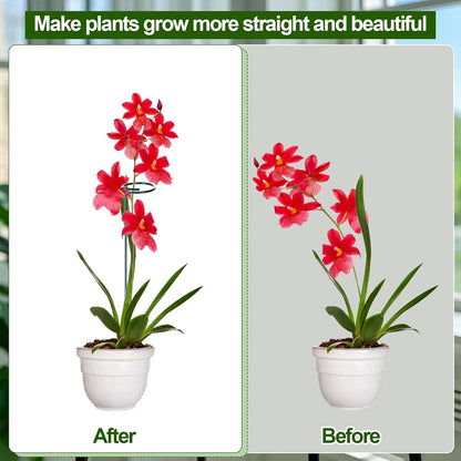 6 Sets Plant Stakes 12/25/36 Inch Adjustable Plant Support Stakes Tall for Indoor Outdoor Plant Holder Stick Steel Garden Stem Pole Amaryllis Stakes with 30 Clip for Tomato Orchid Lily Peony Flower